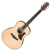 Ibanez AAM50-OPN