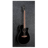 Ibanez AEG-50 BK