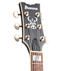 Ibanez AR-420 VLS