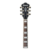 Ibanez AS73G-BKF