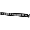 Caymon BSV-01