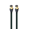 AudioQuest Forest RJ/E Ethernet 5m