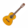 Ibanez GA2-OAM