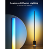 Govee RGBICWW Floor Lamp Pro H6079