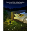 Govee RGBICWW Floor Lamp Pro H6079
