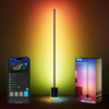 Govee Floor Lamp 2 H607C