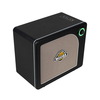 Mooer Hornet 15i Black