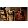Shure KSM-141 SL