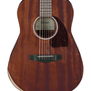 Ibanez PF14JR-OPN Junior