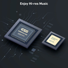 Arylic S50 Pro+