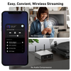 Arylic S50 Pro+