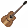 Ibanez V40WSCE OPB