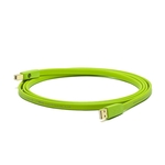 Oyaide d+ USB 2.0 Class B - 1.0 m