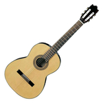Ibanez G-100