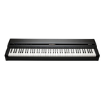Kurzweil MPS110