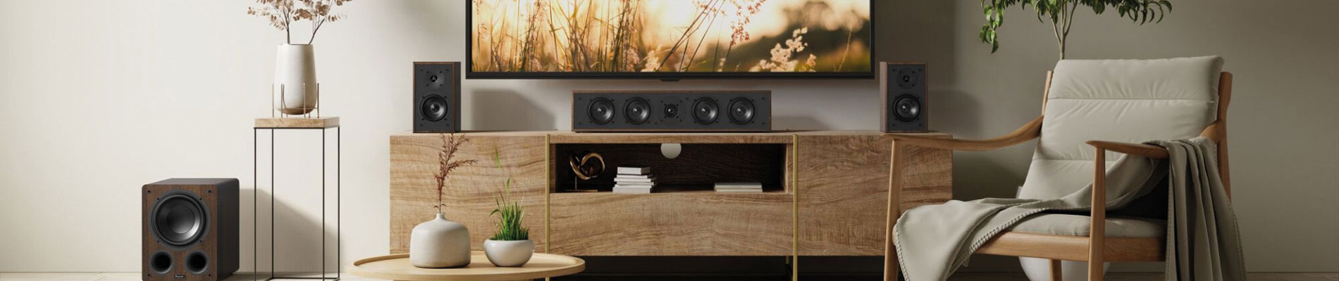 Home Audio