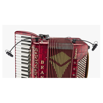 DPA d:vote Core 4099 Accordion