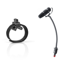 DPA d:vote Core 4099 Universal Hanging