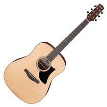 Ibanez AAD50-LG