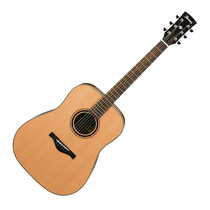 Ibanez AW-250 LG