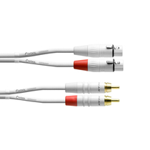 Cordial CFU 3 FC Snow