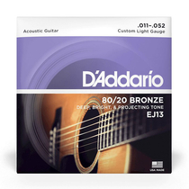 D'Addario EJ13 