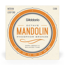 D'Addario EJ80