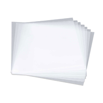 Reloop PREMIUM 12" Outer Sleeves