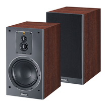 Magnat Signature 503 Mocca