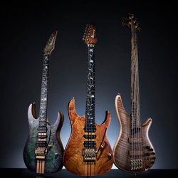 Guitars - Basses