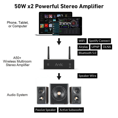 Arylic A50+