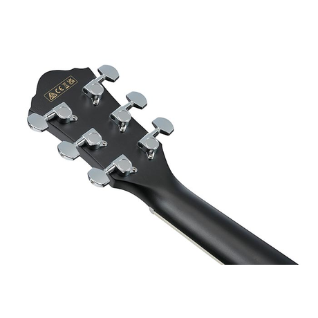 Ibanez AEG-7MH WK