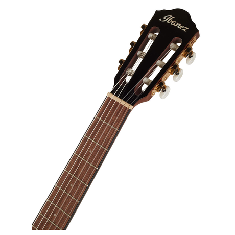 Ibanez AEG-50N BKH