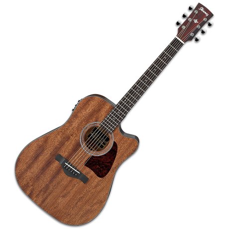 Ibanez AW-54CE OPN