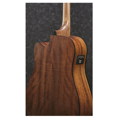 Ibanez AW-54CE OPN