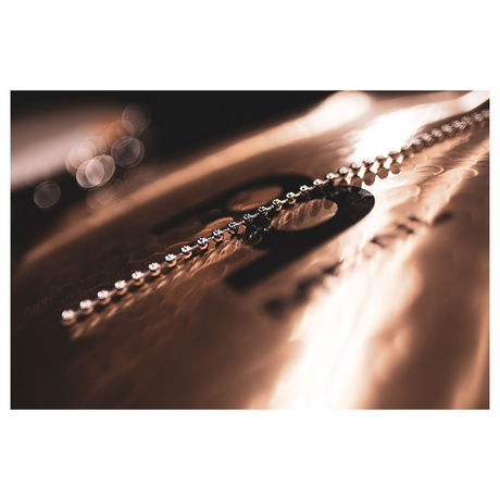 Meinl BACON
