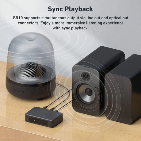 Arylic BR10