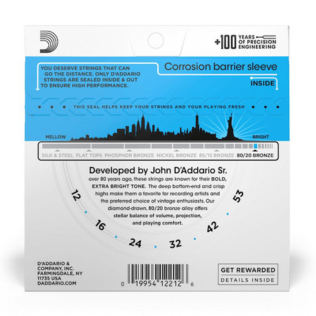 D'Addario EJ11 