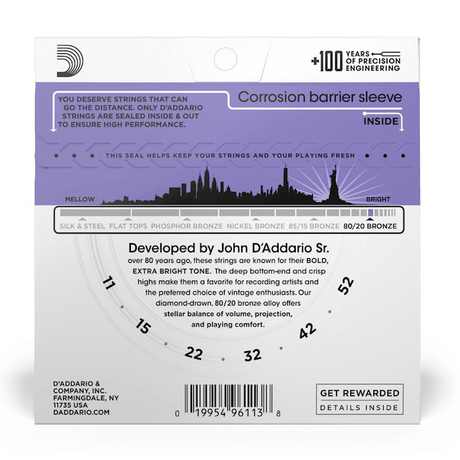 D'Addario EJ13 