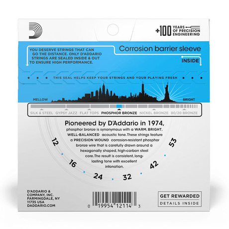 D'Addario EJ16