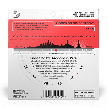 D'Addario EJ17 