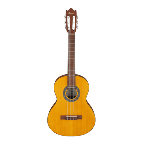 Ibanez GA2-OAM