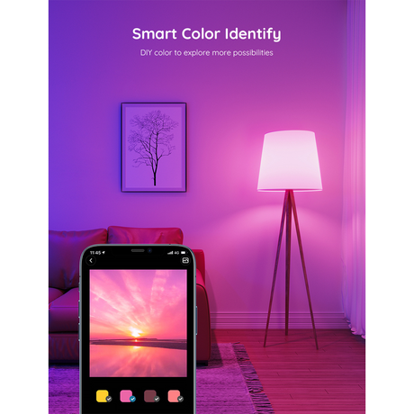 Govee Smart LED Light Bulb WiFi & Bluetooth 800lm H6004