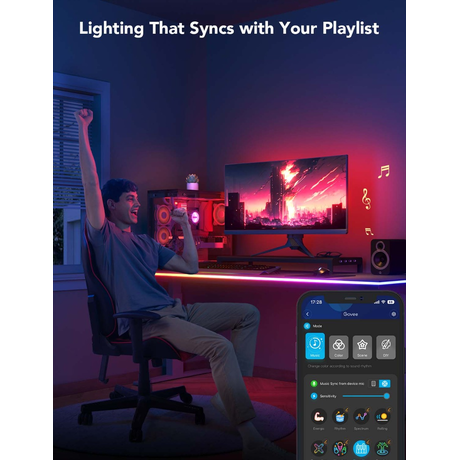 Govee RGBIC LED Neon Rope Lights for Desks H61C3