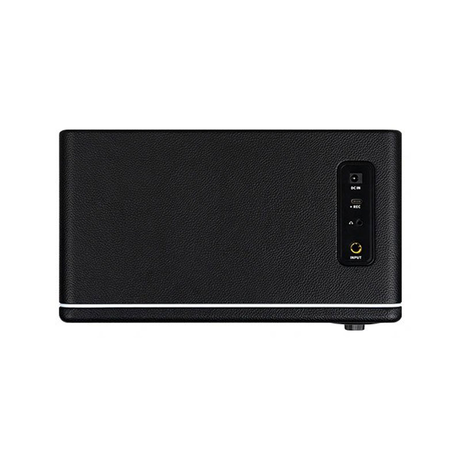 Mooer Hornet 15i Black