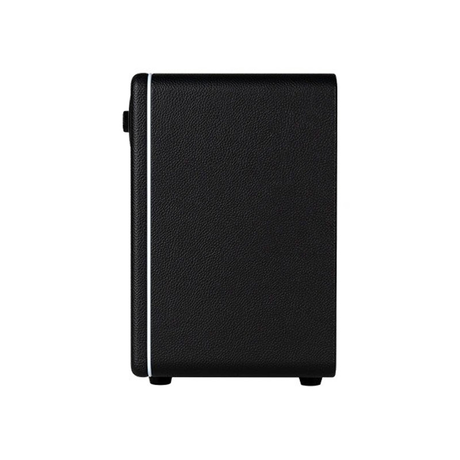 Mooer Hornet 15i Black