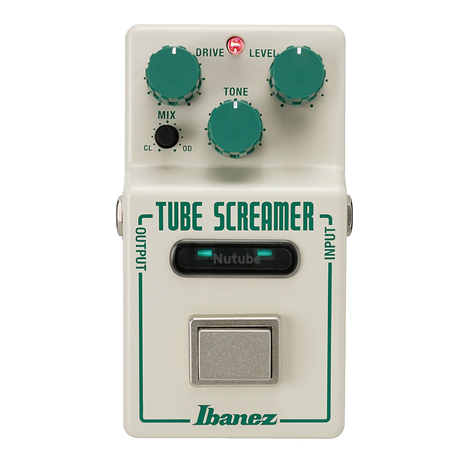 Ibanez NTS