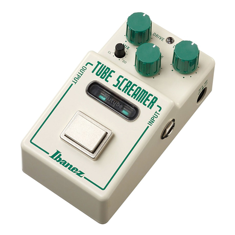 Ibanez NTS