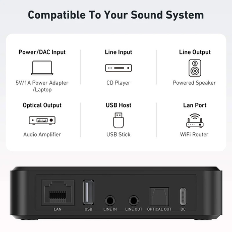 Arylic S10+