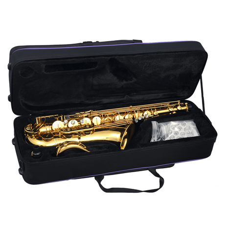 SML Paris T420-II